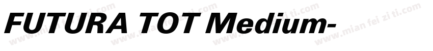 FUTURA TOT Medium字体转换